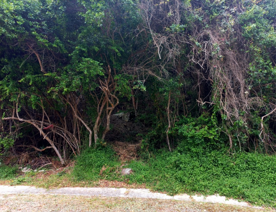 0 Bedroom Property for Sale in Wilderness Central Western Cape